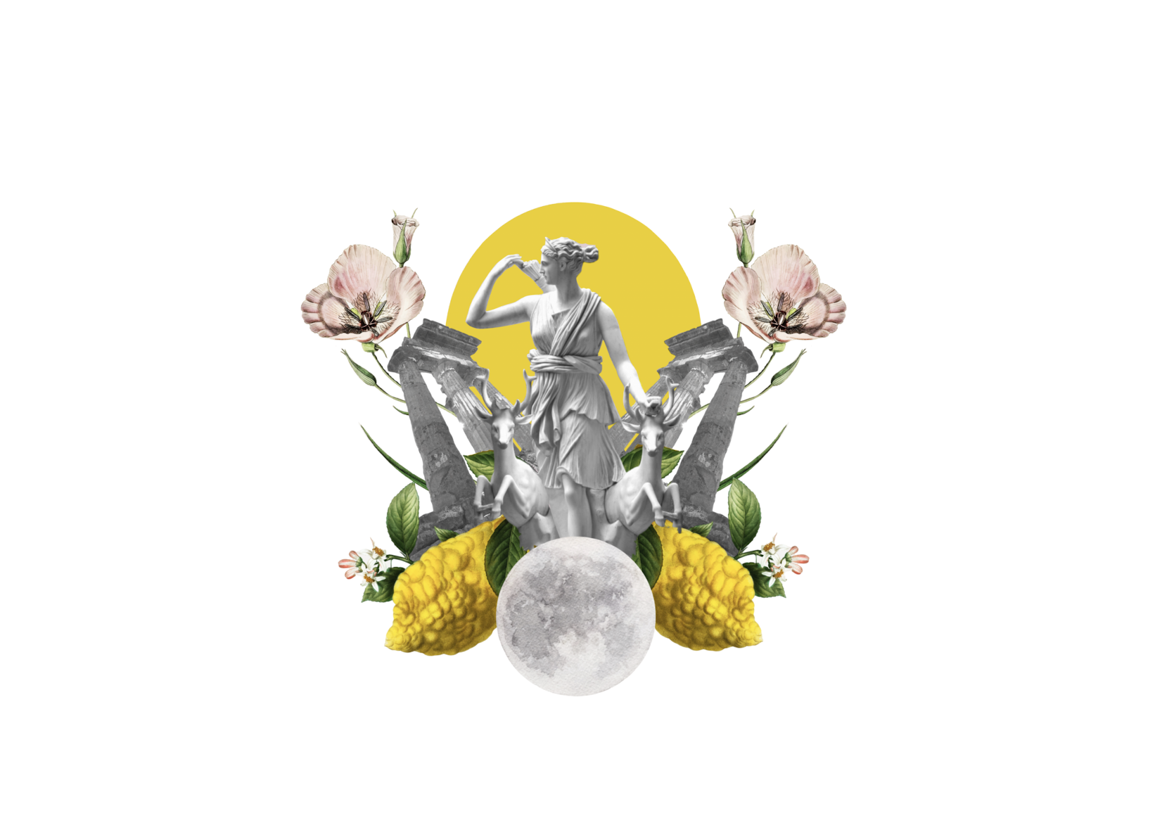 limoni, luna, templi e papaveri IVYGROOVY